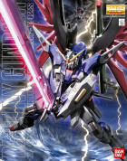 MG 1/100 DESTINY GUNDAM Hobby