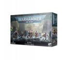 Necrons Flayed Ones Hobby