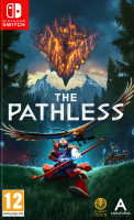 The Pathless NS