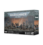 Astra Militarum Death Korps of Krieg, Hobby