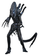 Alien Movie Masterpiece Figurka 1/6 Alien Warrior (Deluxe Version) 39 cm Hobby
