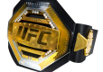 UFC PAS MISTRZOWSKI