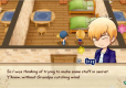 Story of Seasons Friends of Mineral Town