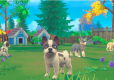 My Universe Pets + Futerał  Edition Bundle