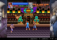 Double Dragon Collection