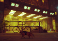 Stray