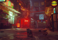 Stray