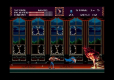 Castlevania Anniversary Collection Deluxe Edition (import)