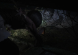 Fatal Frame II: Crimson Butterfly REMAKE