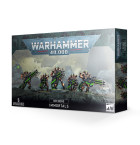Necrons Immortals Hobby