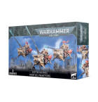 Vertus Praetors Hobby