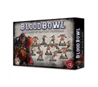 Blood Bowl The Naggaroth Nightmares Dark Elf Team Hobby