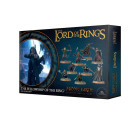 Fellowship Of The Ring Hobby