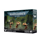 Blood Angels Sanguinary Guard Hobby