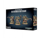 Deathshroud Bodyguard Hobby