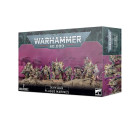 Plague Marines Hobby