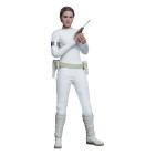 Star Wars: Episode II Action Figure 1/6 Padmé Amidala 27 cm Hobby