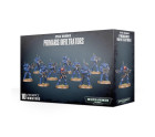 Primaris Infiltrators Hobby