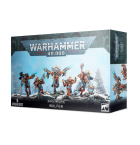 Space Wolves Wulfen Hobby