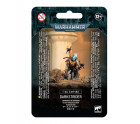 T'au Empire Darkstrider Hobby