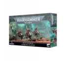 Serberys Raiders Hobby
