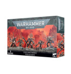 Chaos Space Marines: Possessed Hobby
