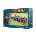 Warhammer The Old World Orc and Goblin Tribes Goblin Wolf Rider Mob Hobby
