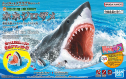 EXPLORING LAB NAUTRE GREAT WHITE SHARK