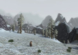 Lord of the Rings Online: Shadow of Angmar