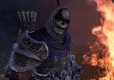 Dragon Age Początek Przebudzenie PL