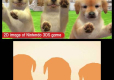 Nintendogs Golden Retriever + Cats Select