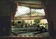 Walking Dead Survival Instinct