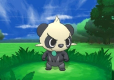 Pokemon X