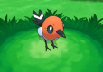 Pokemon X