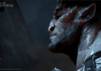 Dragon Age Inkwizycja PL/ANG
