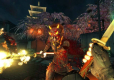 Shadow Warrior PL