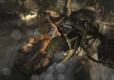 Tomb Raider PKK
