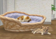 Nintendogs Toy Poodle + Cats Select