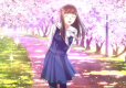 Root Letter