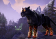 The Elder Scrolls Online Summerset Edycja kolekcjonerska