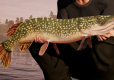 Fishing Sim World