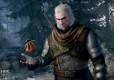 Witcher 3 GOTY Edition