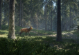 the Hunter Call of the Wild  2019 Edition
