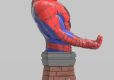 Podstawka Pod Pada Spider-Man