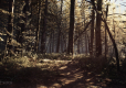 Blair Witch