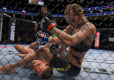 UFC 4