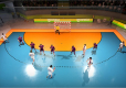 Handball 21