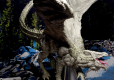 D&D Icons of the Realms Premium Miniature pre-painted Adult White Dragon