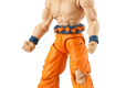 DRAGON BALL SUPER EVOLVE GOKU ULTRA INSTINCT