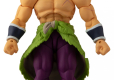 DRAGON BALL SUPER EVOLVE SUPER SAIYAN BROLY